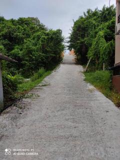Utan Teluk Nipah - Pangkor - 2