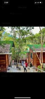 Utan Teluk Nipah - Pangkor - 5