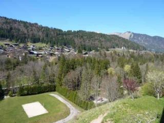 Studio 4 pers avec balcon, vue panoramique, parking, Wifi - Morzine - FR-1-524-70 - Morzine - 8