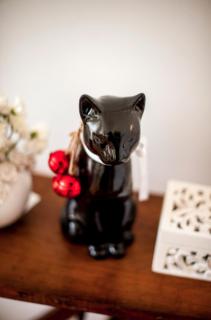 The Black Kitten II - 9