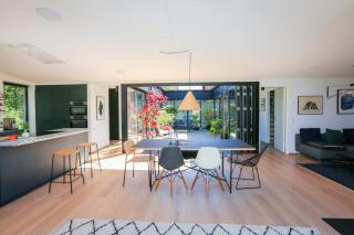 Modern architecture atrium house - 2