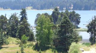 Family Hotel Panorama - Sarnitsa - 5