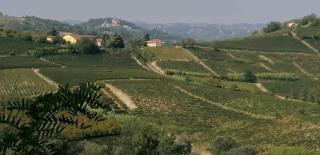 Il Giardino di Mai Exclusive B&b - Montabone - 6