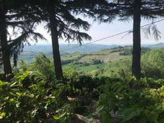 Il Giardino di Mai Exclusive B&b - Montabone - 3