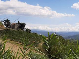 Il Giardino di Mai Exclusive B&b - Montabone - 8