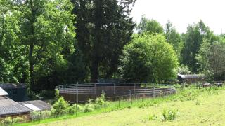 Kutscherhaus am Weiher - 5