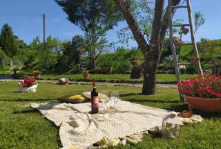 Casa Elisa - Montaione - 2