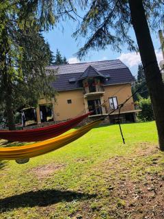 Cabana Suvenirurilor - Scărişoara - 8