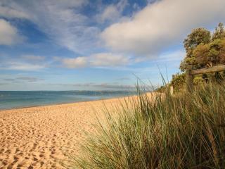 Cosy on Currawong - 2