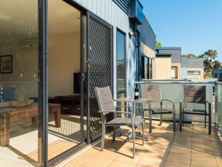 Penguins by the Beach - 5