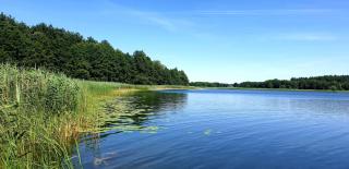 Szary Domek 1 jacuzzi komienk sauna klimatyzacja jezioro - Piotrków Kujawski - 2