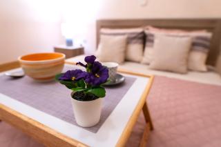 Myrtle, city center renovated apartment - Atene - 0