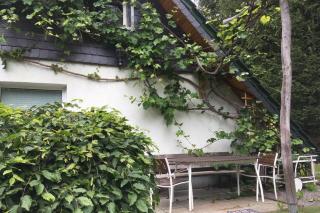 Idyllisches Ferienhaus am Wald - Möhrenbach - 7
