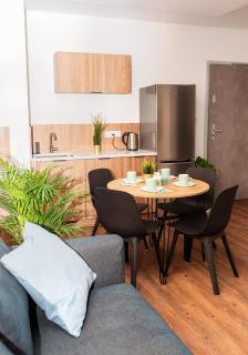 VIP Apartament number 7 - Lublin - 7