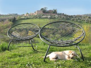 Agriturismo La Torretta - apt 4rooms with pool - 4