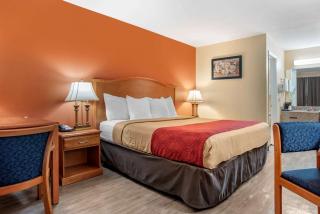Econo Lodge Inn & Suites - Evergreen - 5