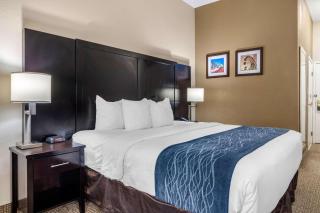 Comfort Inn & Suites Atlanta-Smyrna - Atlanta - 1