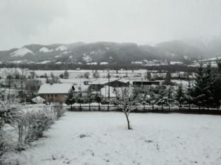 Mon ecrin de nature rez de jardin - 6