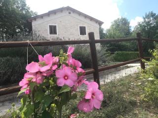 Country House Antiche Dimore - Abbateggio - 2