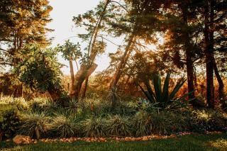 Colinas Executive Park Hotel - 1