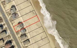 Beach Baby - Kitty Hawk - 2