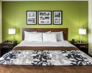 Sleep Inn South Joplin - Joplin - 8