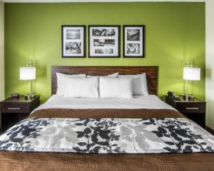 Sleep Inn South Joplin - Joplin - 3