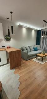 APARTAMENT DĄBSKA 24 TAURON ARENA - 5