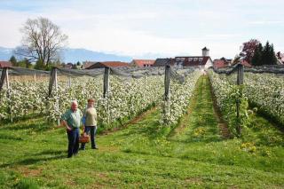 Ferienhof Schöngarten - Lindau - 2