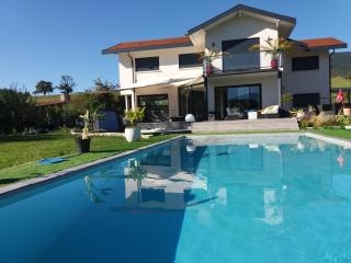 Chambres, cuisine, piscine, spa, billards, airhockey, nature - Fillinges - 0