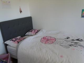 Chambres, cuisine, piscine, spa, billards, airhockey, nature - 2