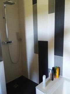 Chambres, cuisine, piscine, spa, billards, airhockey, nature - Fillinges - 1