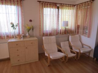 Holiday Villa Lake Lipno - Lipno nad Vltavou - 7