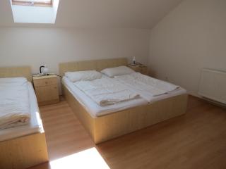 Holiday Villa Lake Lipno - Lipno nad Vltavou - 6