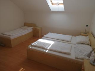 Holiday Villa Lake Lipno - Lipno nad Vltavou - 5