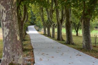 Domaine de calbiac - Dolmayrac - 2