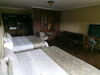 Hotel Salento Plaza - Salento - 4