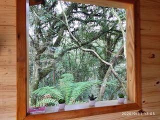 Bangalô do Xaxim - Gramado - 2