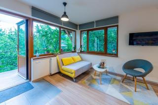 Dragonfly Studio with GARDEN - Braşov - 1