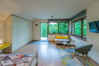 Dragonfly Studio with GARDEN - Braşov - 2