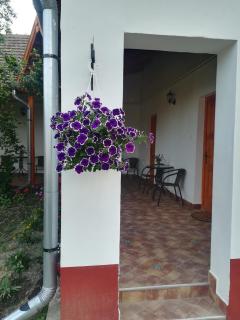 Négy Tücsök Vendégház - Nagykörů - 8