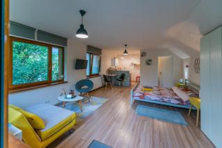 Dragonfly Studio with GARDEN - Braşov - 5