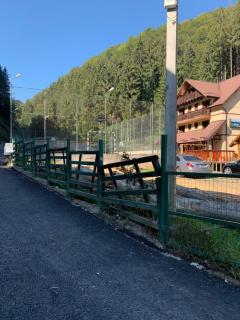 Pensiunea Valea Cascadelor - Rucăr - 3
