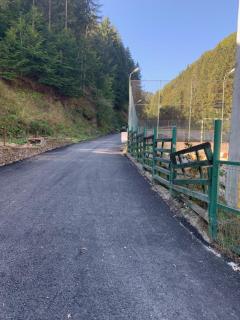 Pensiunea Valea Cascadelor - Rucăr - 2