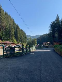 Pensiunea Valea Cascadelor - Rucăr - 5