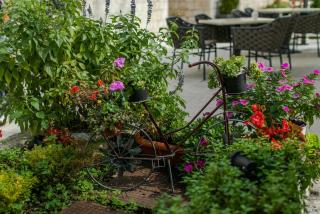Hotel Concordia - Trogir - 6
