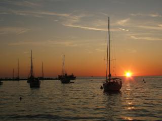TAMARIS, 600 m from the beach - Novigrad - 0