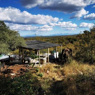 Mbizi Bush Lodge - 1