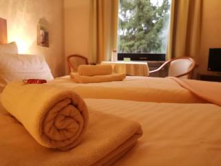Hotel zur Schmiede - Altenau - 2