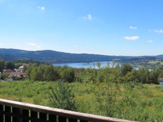 Holiday Villa Lake Lipno - Lipno nad Vltavou - 3